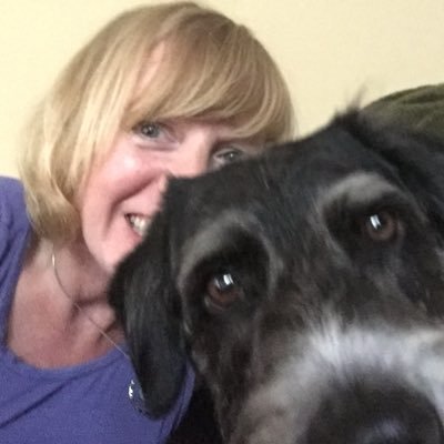 Profile Photo of Ann Magee (@annmagee7) on Twitter