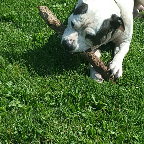 Sandy Killary - Poshmark Profile Picture of Sandy Killary (@sandykillary) on Poshmark