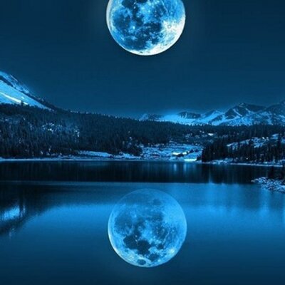 Profile Picture of Shannon Sparkman (@71Sparkman) on Twitter