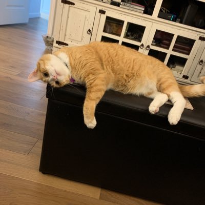 Profile Picture of John Sens (@JohnSens12) on Twitter