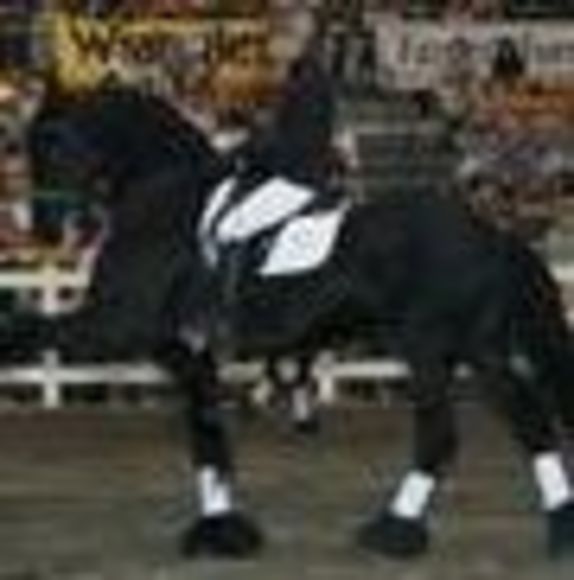 Profile Picture of Hope Ingalls (@h_ingalls) on Poshmark