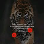 Profile Picture of Wilman Arias (@Wilman-Arias) on Facebook