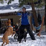 Profile Picture of Stephen Goldsmith (@im_stevieg88) on Instagram