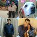 Profile Picture of Collin Gomes (@collin.gomes.79) on Facebook