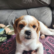 Profile Picture of ALICE.  EMANUEL.   💝 (@IngridSoares-q6f) on Youtube