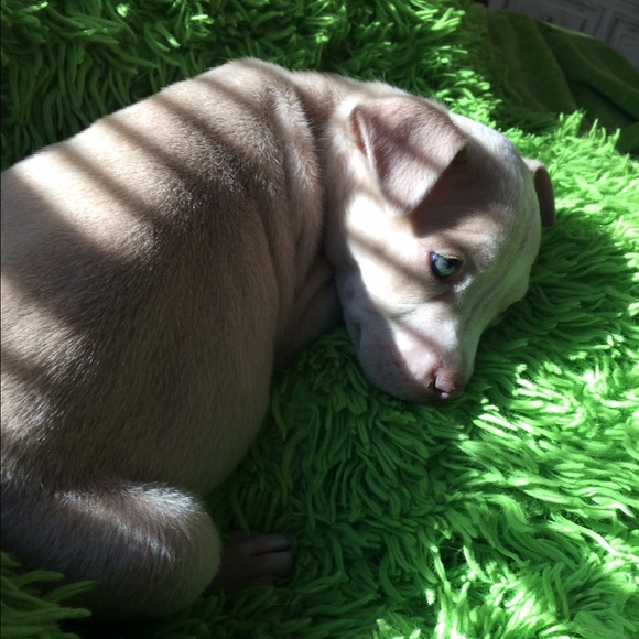 Profile Picture of Sidney Tumey (@lilbit112798) on Poshmark