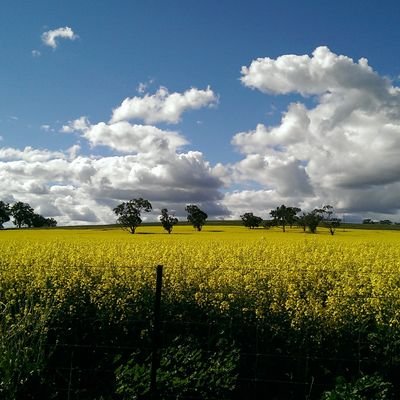 Ken Keralake - Twitter Profile Picture of Ken Keralake (@ke_keer) on Twitter