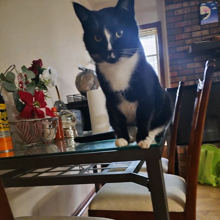 Profile Picture of walterinteriano36 (@walterinteriano36) on Tiktok