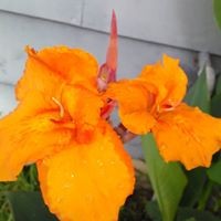 Profile Picture of Casey Beck (@casey-beck-22) on Quora