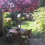 Profile Picture of Colette Leonard (@colette.leonard.397) on Facebook