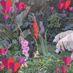 Profile Picture of Linda Buller (@linda.buller.9) on Facebook