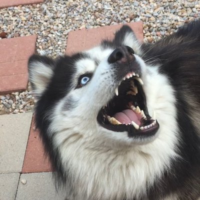 Profile Picture of Jeremy Romero (@Jeremy_Speaks) on Twitter