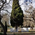 Profile Picture of Juan Zubi (@gravesendphotography48) on Instagram