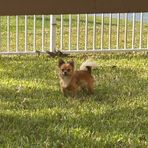 Profile Picture of Bill Dramble (@bill.dramble.9) on Facebook