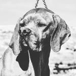 Profile Picture of Hassan Fayad (@hassan.fayad.777) on Instagram