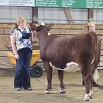 Profile Picture of Della Schutt (@Della-Schutt) on Facebook