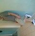 Profile Picture of Kenny Crone (@kenny.crone.52) on Facebook