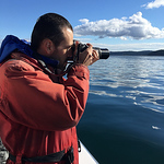 Profile Picture of Caiorca (@caiorca) on Flickr