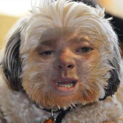 Profile Picture of Alexander Patterson (@weemanbian222) on Twitter