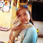 Profile Picture of Duck Chung (@duckka2002) on Instagram