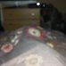 Profile Picture of Nicola Stringer (@nicola.stringer.733) on Facebook