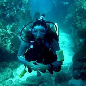 Profile Picture of Lisa Patterson (@oceanbound81) on Pinterest