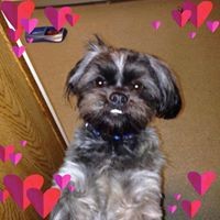 Profile Picture of Catherine Gressell (@catherine-gressell) on Quora