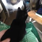 Profile Picture of chris alward (@chris.alward) on Instagram