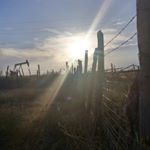 Profile Picture of Wanda Durham (@weezer_da_bomb.com23) on Instagram