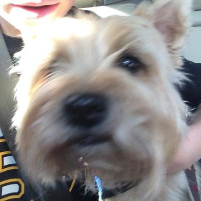 Profile Picture of Karen Spring (@bittnermom2) on Twitter