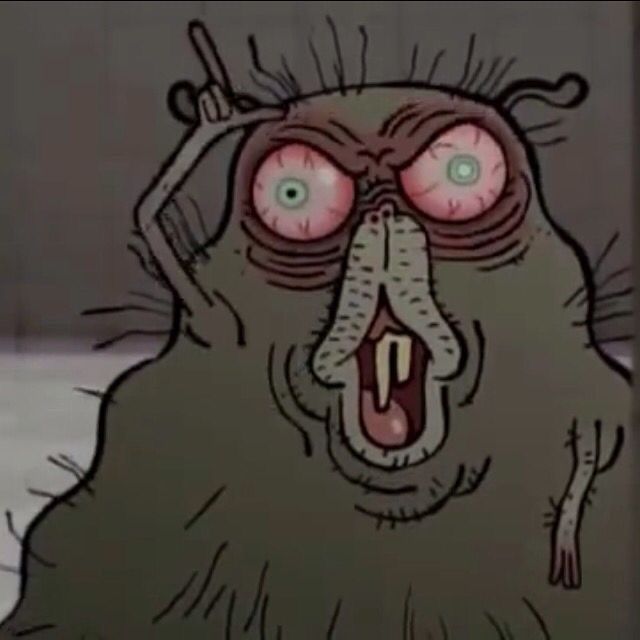 Profile Picture of Chris Blunt (@chrisblunt2) on Tiktok