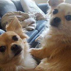 Profile Picture of michaelsandvigped (@michaelsandvigped) on Tiktok