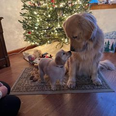 Profile Picture of bob (@bobgreiner) on Tiktok