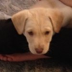 Profile Picture of Benjamin Barker Sunshine (@benji_barkerr) on Instagram