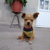 Profile Picture of Geraldine Solano (@GeraldineSolano-l5x) on Youtube