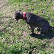 Profile Picture of Kenneth Carr (@kennethcarr9895) on Youtube