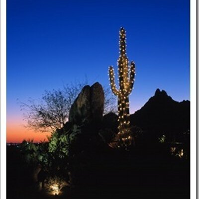 Profile Picture of Patti McFarland (@pattimcfarland) on Twitter