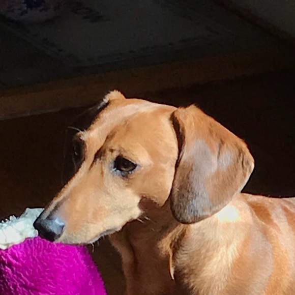 Profile Picture of Gabriel Noel (@gabe847) on Poshmark