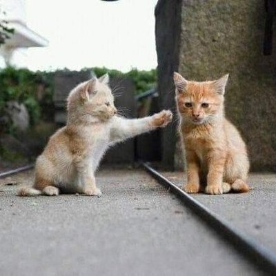 Profile Picture of Julia Neydelyn Menez Saucedo (@JuliaNeydelyn) on Twitter