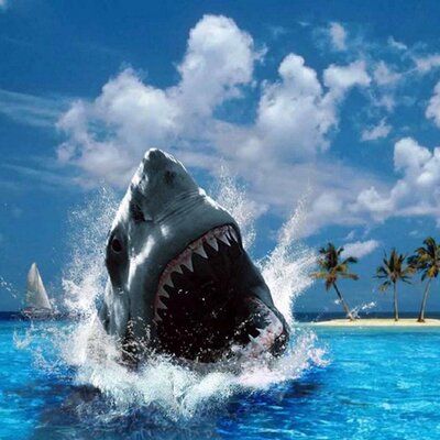 Profile Picture of Chris Mickelson (@Tophermickelson) on Twitter