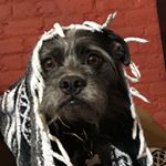 Profile Picture of Alex Glickman (@bigalglick) on Instagram