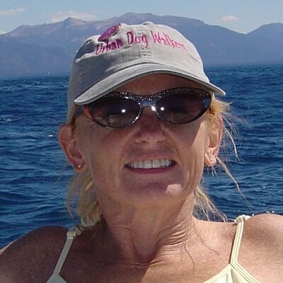 Profile Picture of Kathy Gray (@KathyPrattGray) on Twitter