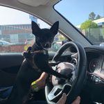 Profile Picture of Jan Hildinger (@hildingerjan) on Instagram