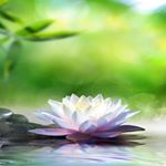 julianna andrews - Instagram Profile Picture of julianna andrews (@juliannaandrews3) on Instagram