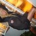Profile Picture of Sara Clausen (@sara.clausen.739) on Facebook
