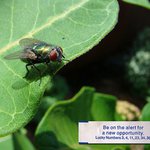 Profile Picture of Nathanael Munro (@nathanaelmunro) on Instagram