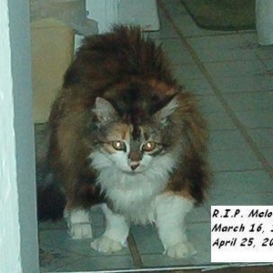 Profile Picture of Jason Bosford (@jasonbosford) on Myspace