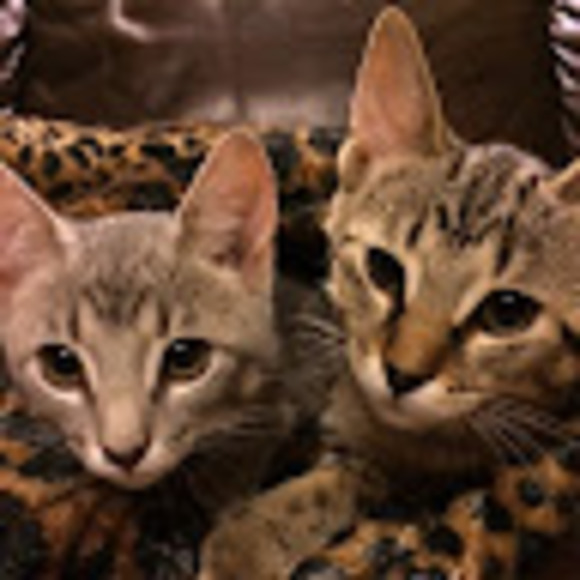 Profile Picture of John Mcphail (@unpause) on Poshmark