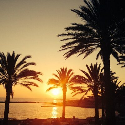 Profile Picture of Hayley (@hayley_frances1) on Twitter