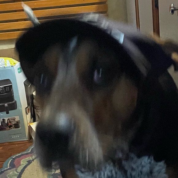 Profile Picture of Nathan Cram (@cramnn) on Poshmark